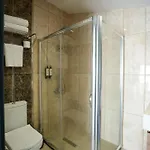 Business Life Guenesli 3* Istanbul